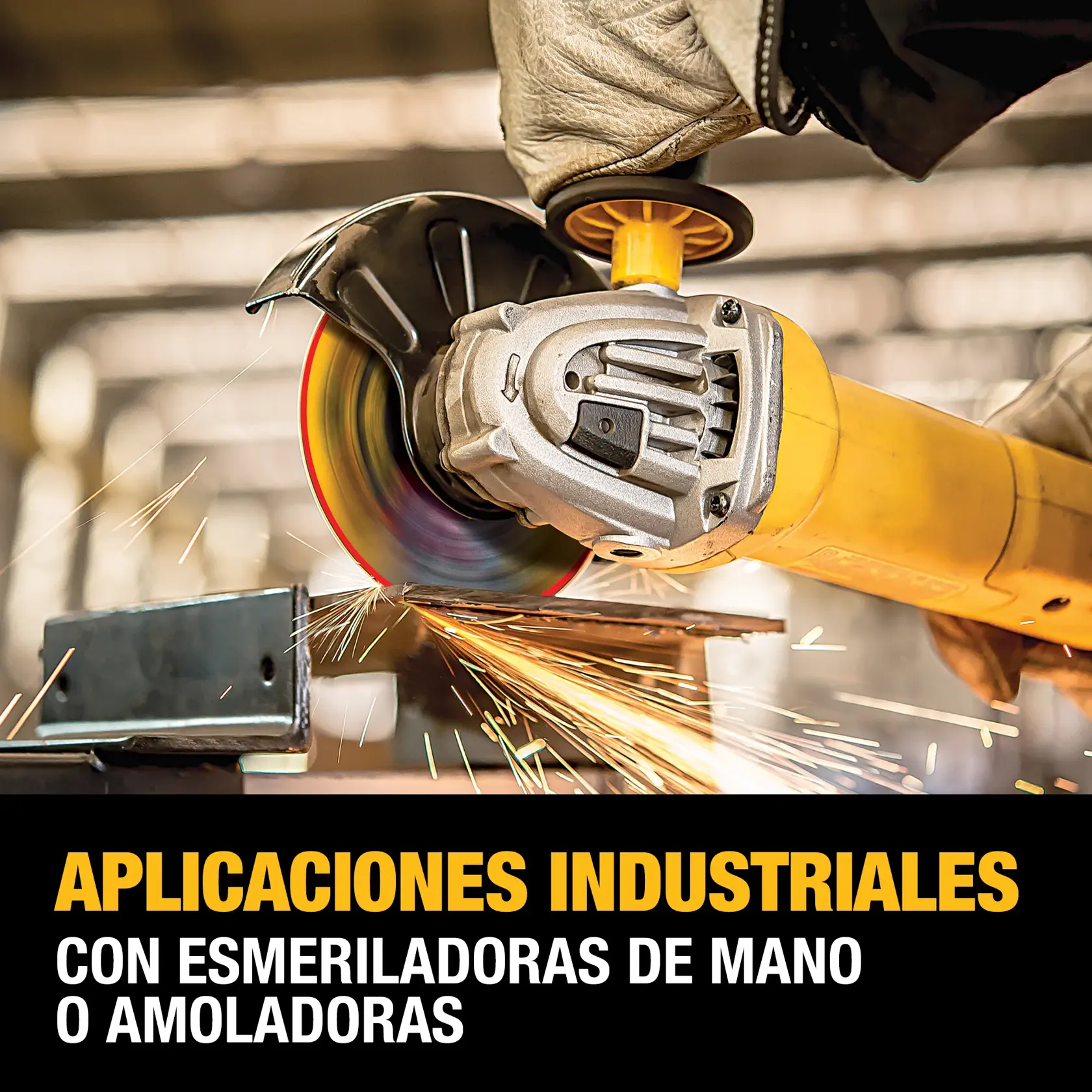 CAROUSEL PHOTO IN APPLICATION