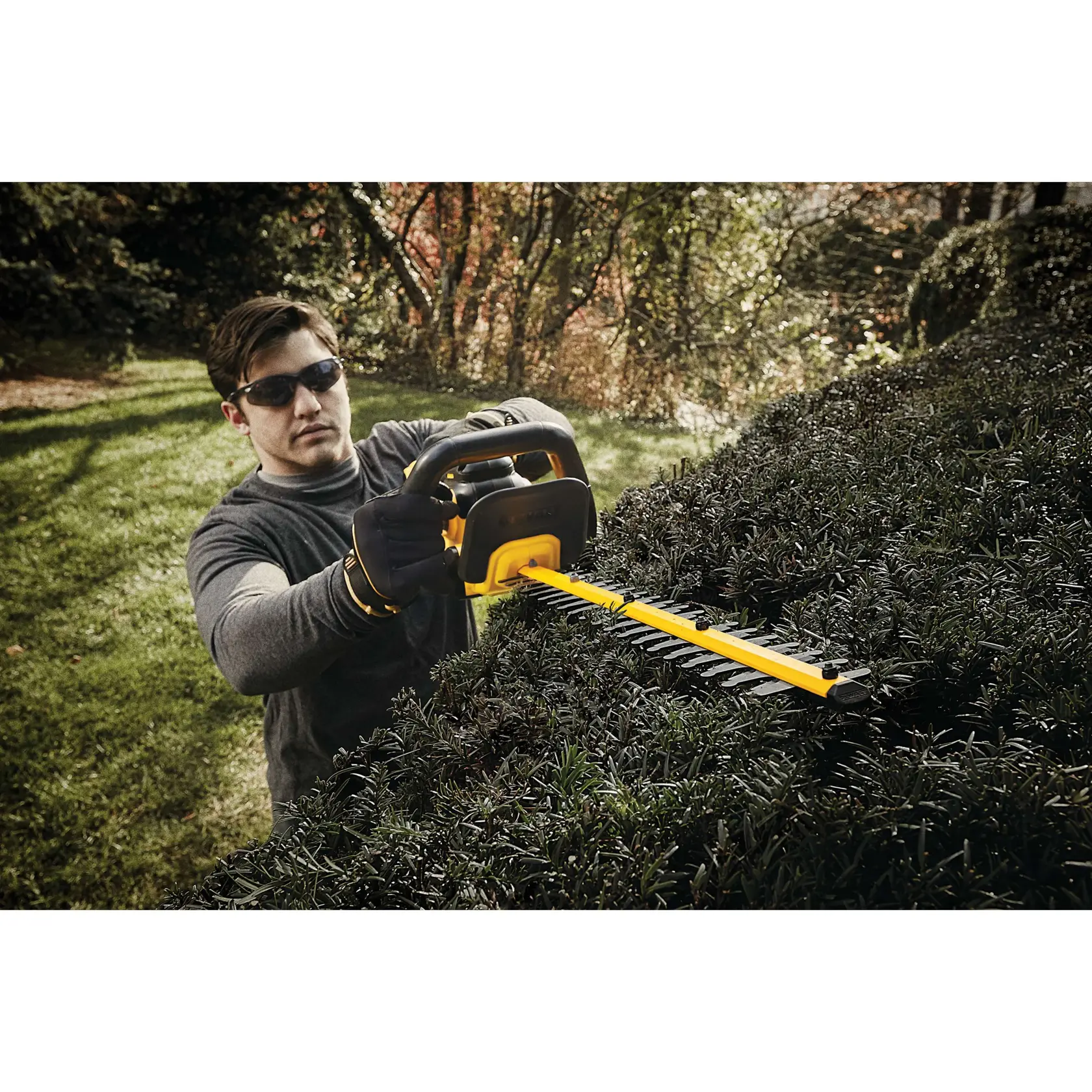 Lithium ion hedge trimmer being used by a person