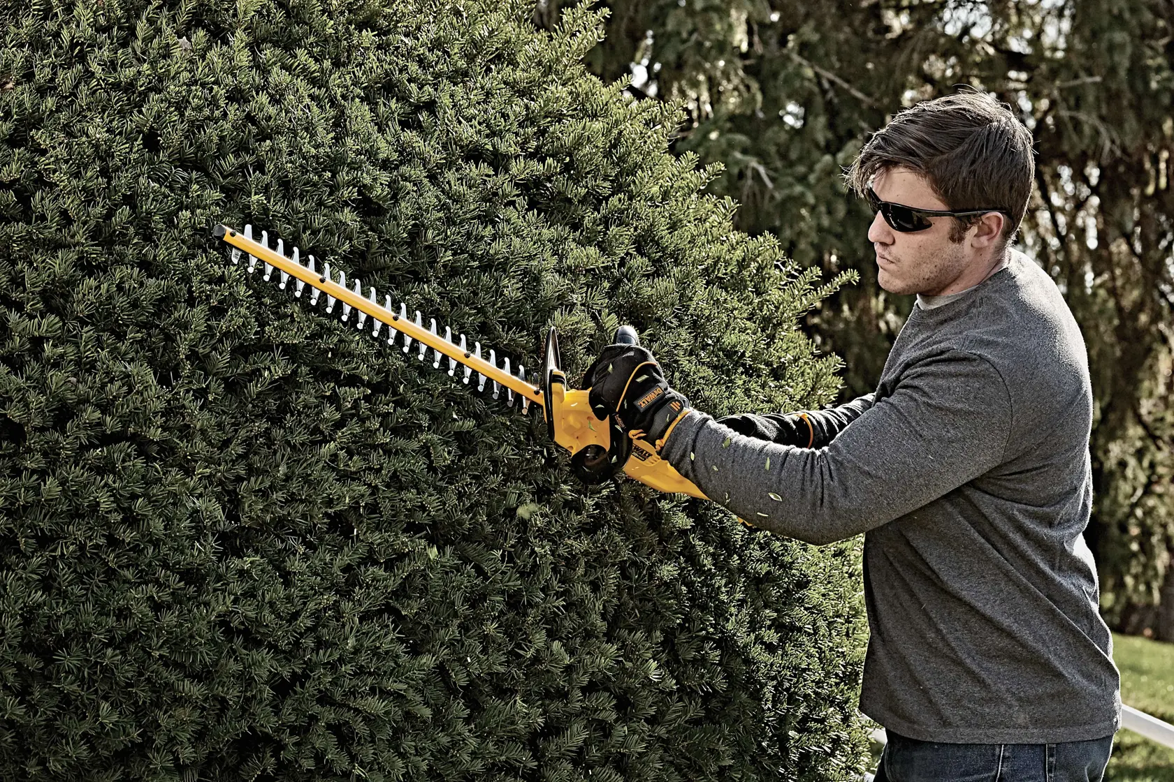 Lithium ion hedge trimmer being used by a person to mend hedge